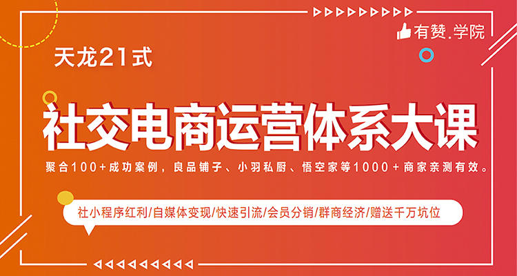 有赞学院-天龙21式《社交电商运营体系大课》