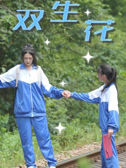 双生花（36集）