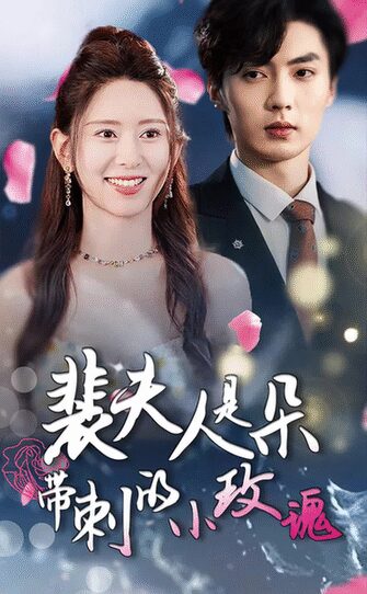 裴夫人是朵带刺的小玫瑰&离婚后前妻惊艳全球（69集）