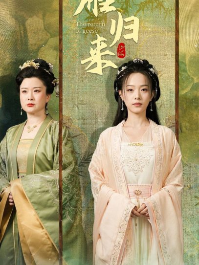 雁归来（65集）