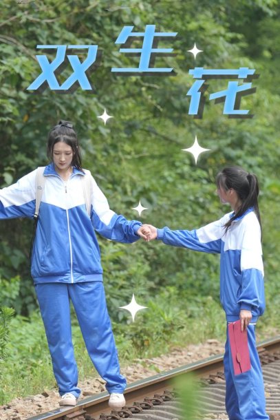 双生花（36集）