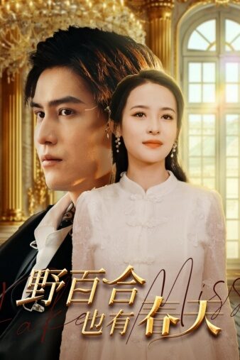 野百合也有春天（85集）王霭玲