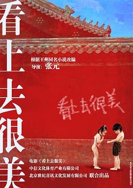 看上去很美DVDRip