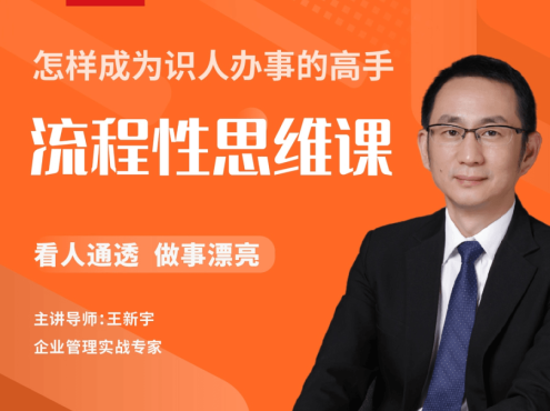 王新宇《流程性思维课》