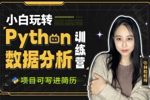 【众筹】林粒粒-小白玩转Python数据分析训练营（含AI专题）