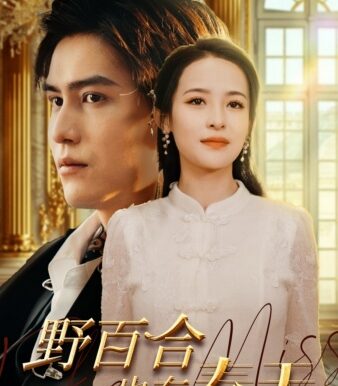 野百合也有春天(85集)王霭玲