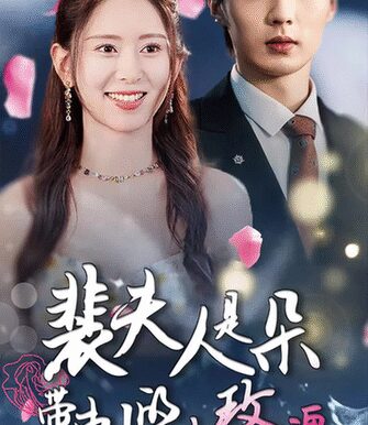 裴夫人是朵带刺的小玫瑰&离婚后前妻惊艳全球（69集）