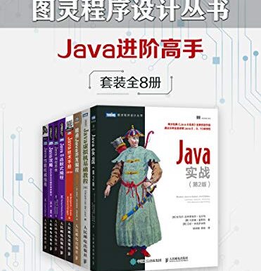 图灵程序设计丛书：Java进阶高手（套装共8册）