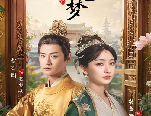 宫阙相思梦(66集)