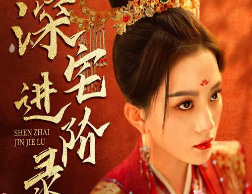 深宅进阶录(80集)马秋元