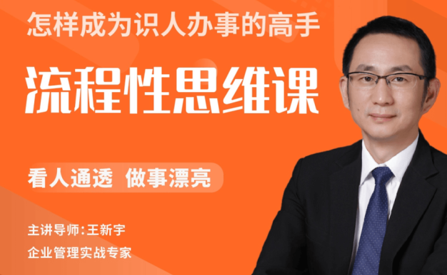 王新宇《流程性思维课》