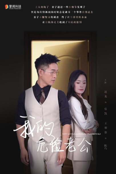 我的危险老公（63集）