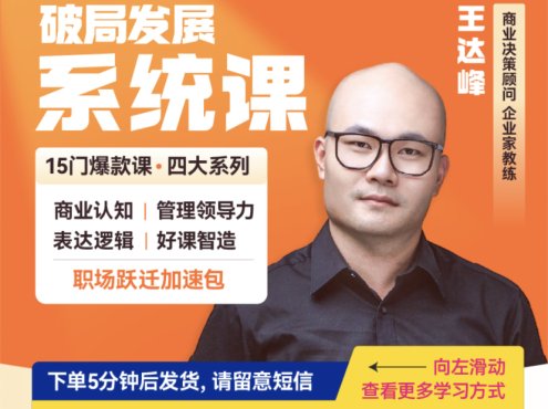 王达峰《破局发展系统课》视频课