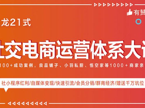 有赞学院-天龙21式《社交电商运营体系大课》