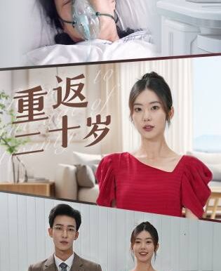 重返二十岁(95集)