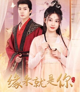 缘来就是你(65集)
