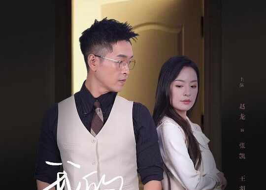 我的危险老公(63集)