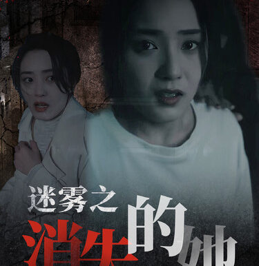 迷雾之消失的她(73集)