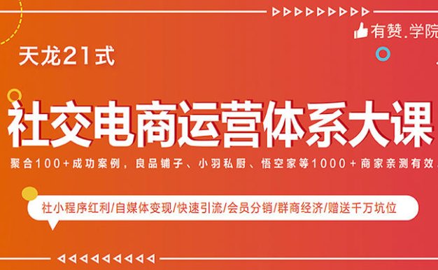 有赞学院-天龙21式《社交电商运营体系大课》