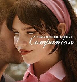 完美伴侣